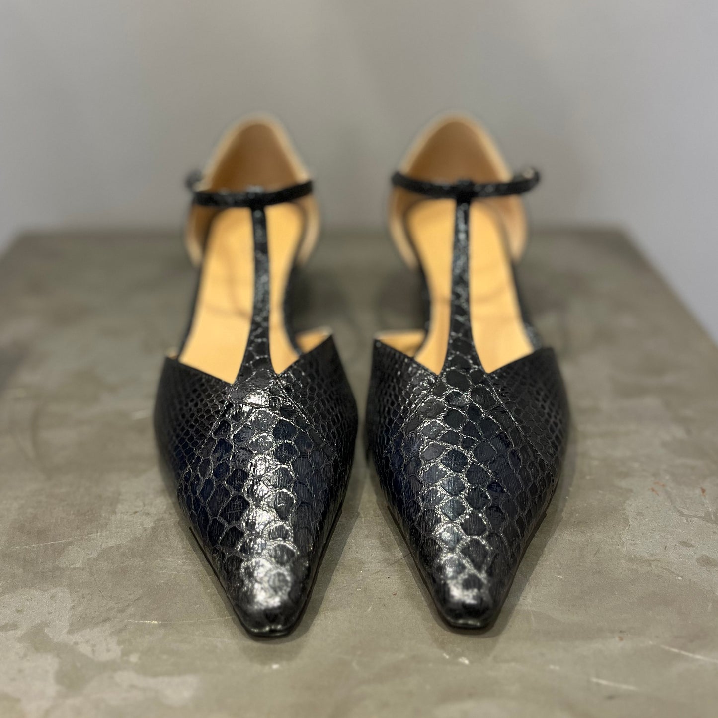 Paloma Pitone Nero
