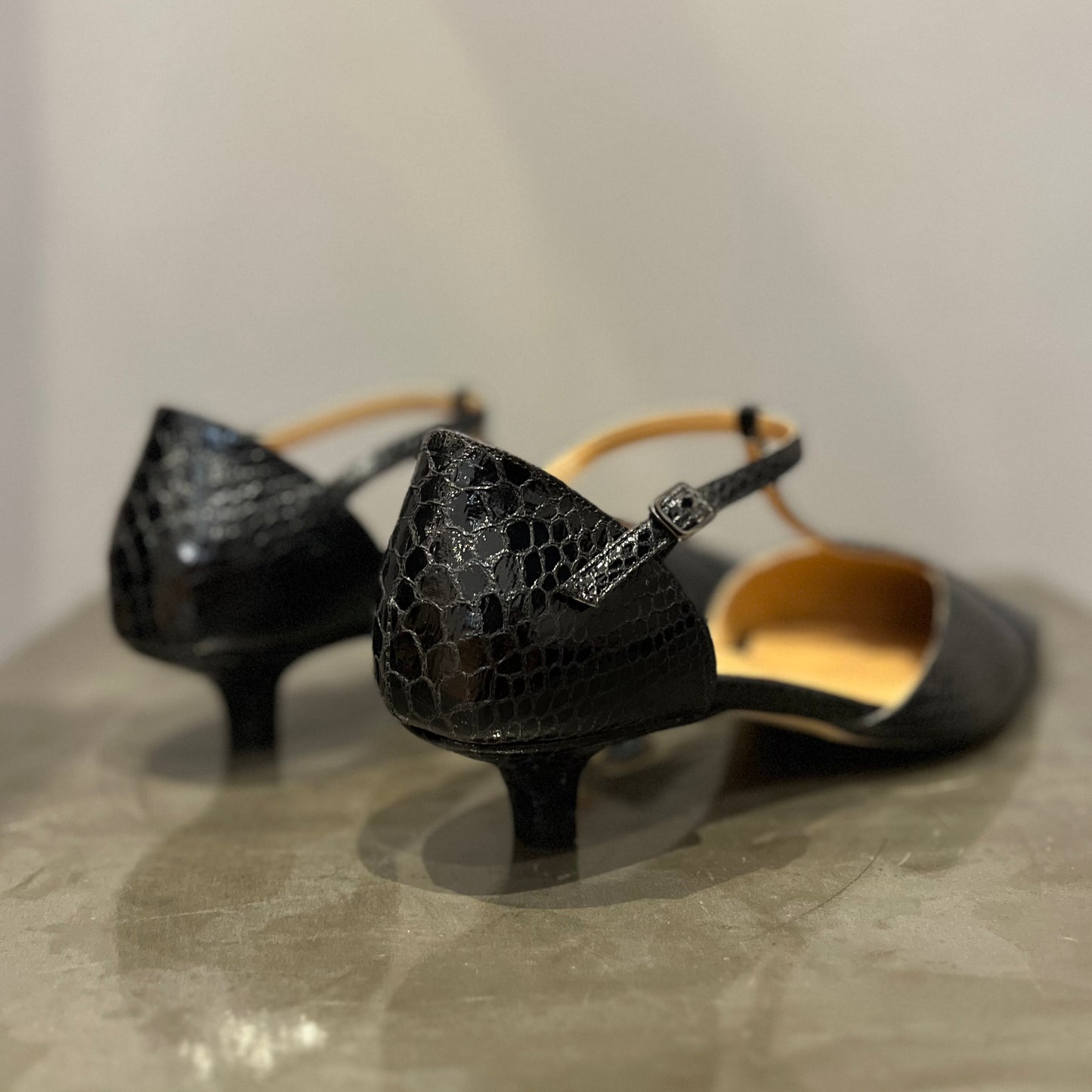 Paloma Pitone Nero