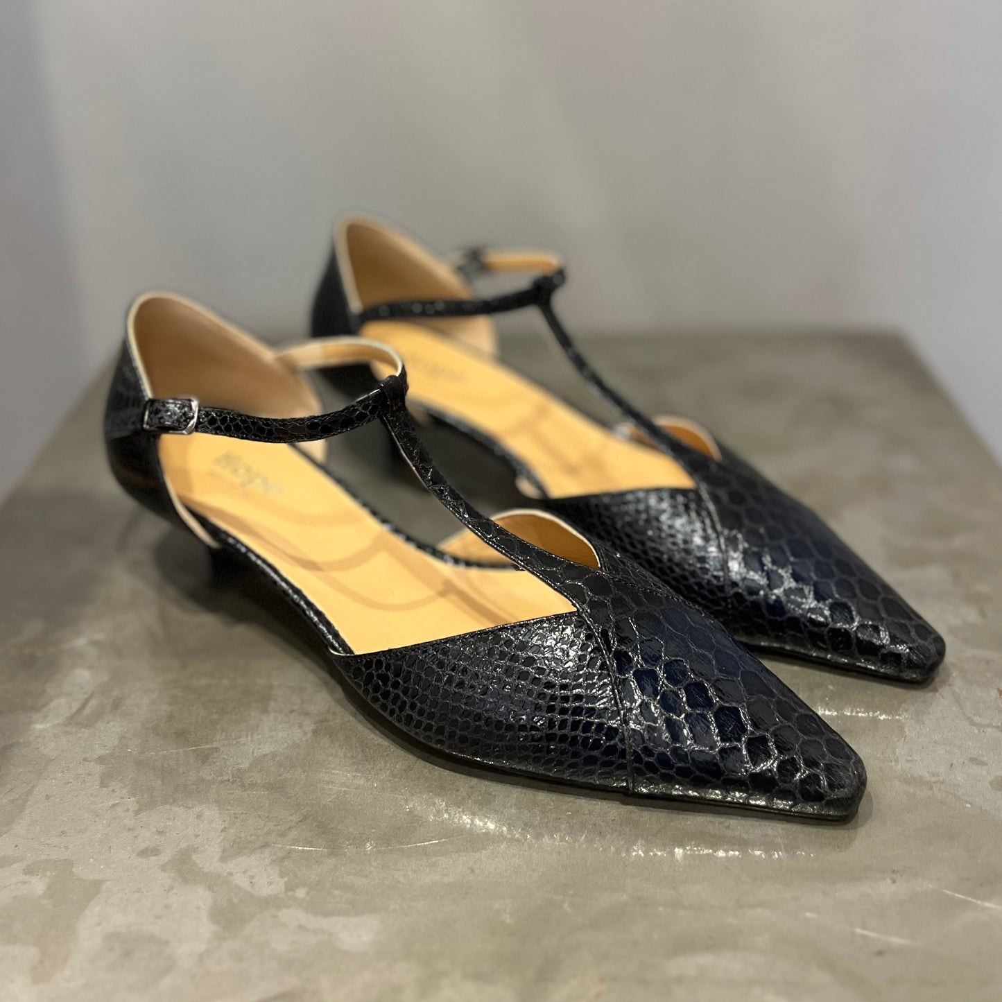 Paloma Pitone Nero