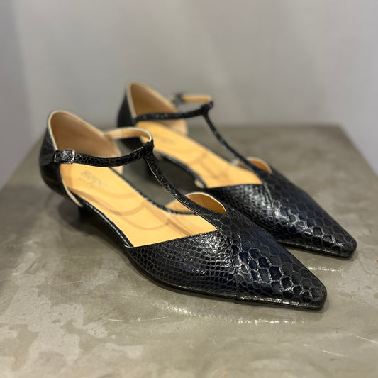 Paloma Pitone Nero