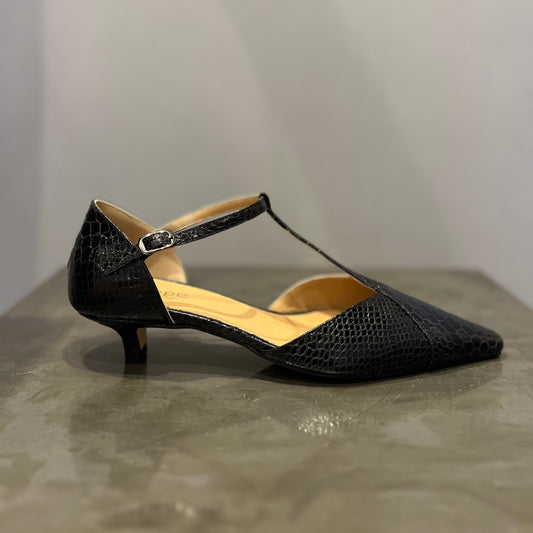 Paloma Pitone Nero